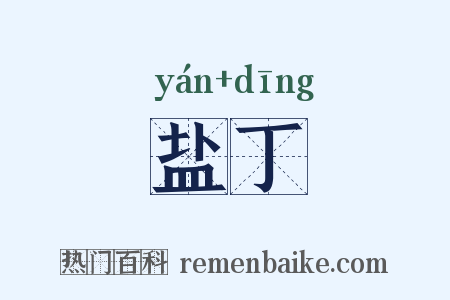 盐丁是什么意思的图片